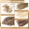 75-Pack Dried Fall Pampas Grass – White & Brown Pampas, Bunny Tail, Reed, Fluffy Dried Flowers for Home, Wedding, Table, Vase, Boho & Modern Decor
